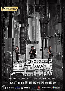 特种兵归来2:黑色罂粟(全集)