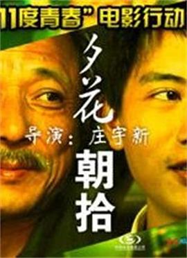 11度青春之[夕花朝拾](大结局)