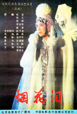 烟花泪(大结局)